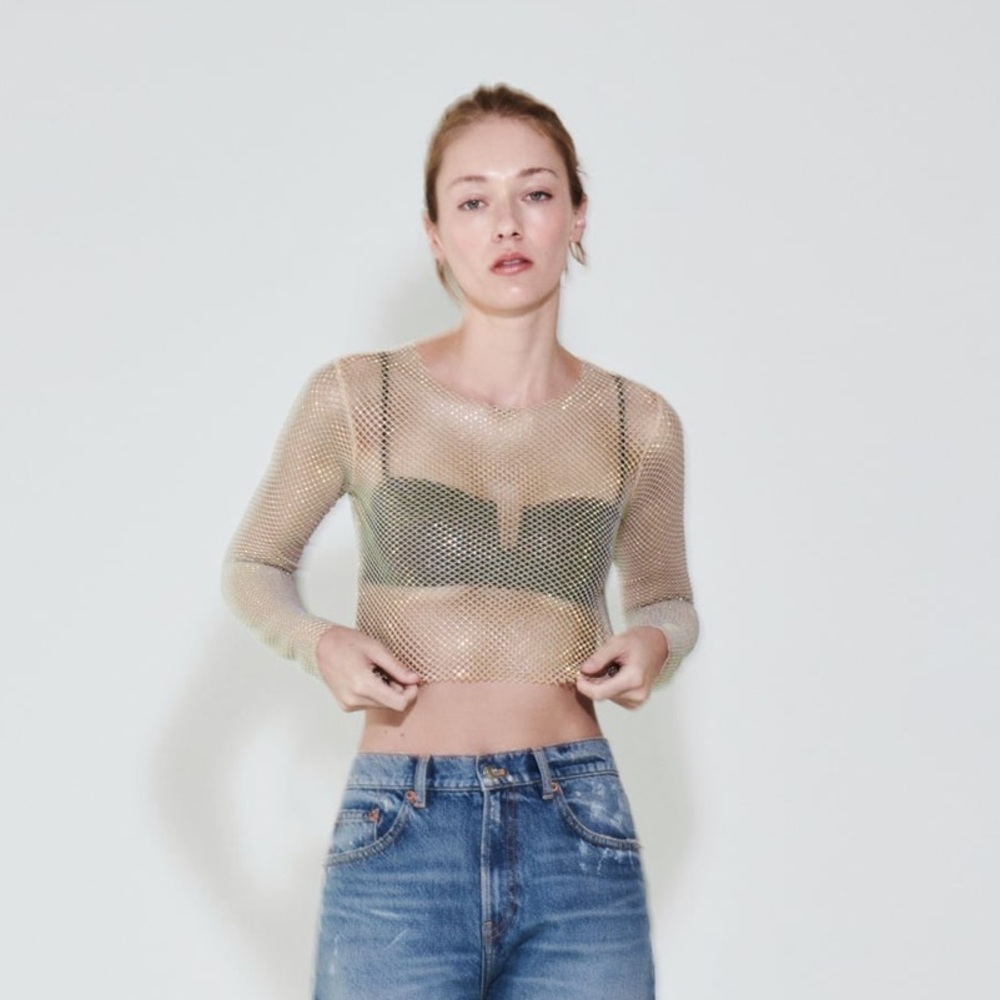 Zara Golden Rhinestone Mesh top